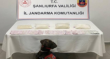 Şanlıurfa’da Narkotik Operasyonu: 4 Kilo Sentetik Uyuşturucu Ele Geçirildi