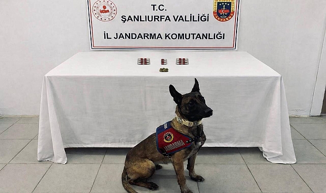 Şanlıurfa’da Narkotik Operasyonu: 8 Şüpheli Hakkında İşlem