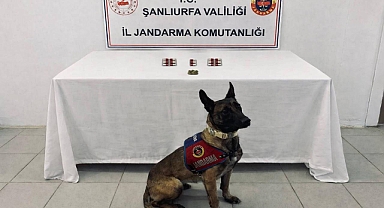 Şanlıurfa’da Narkotik Operasyonu: 8 Şüpheli Hakkında İşlem