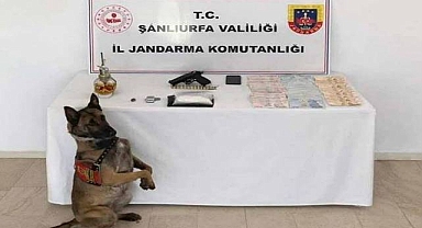 Şanlıurfa’da Uyuşturucu, Silah ve Yüklü Miktarda Para Ele Geçirildi
