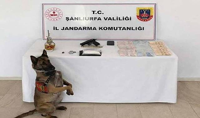 Şanlıurfa’da Uyuşturucu, Silah ve Yüklü Miktarda Para Ele Geçirildi
