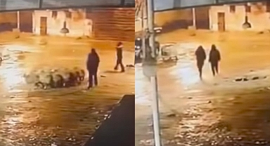 Siverek’te 19 Koyun Çalındı: Hırsızlık Anı Kamerada