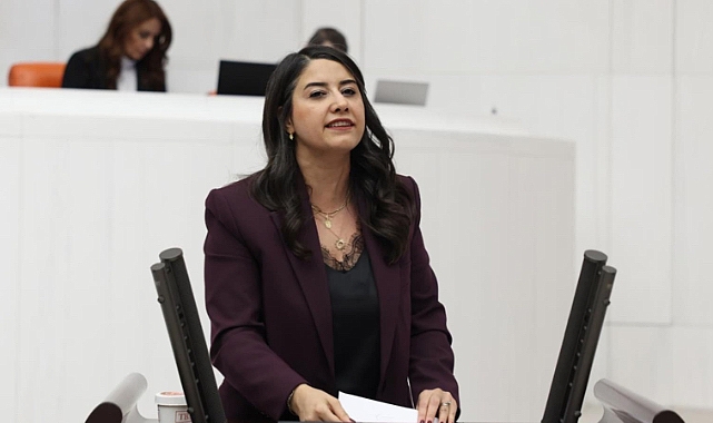 TBMM’ye “Anadili Hakkı” İçin Meclis Araştırması Talebi