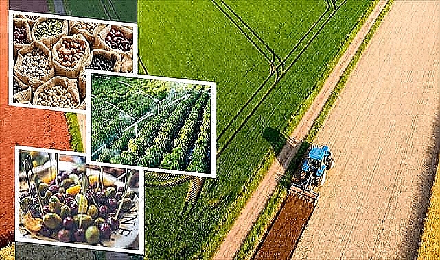 TÜİK Açıkladı: İnşaat Üretimi Arttı, Tarım Fiyatlarında Sert Yükseliş