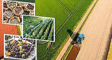 TÜİK Açıkladı: İnşaat Üretimi Arttı, Tarım Fiyatlarında Sert Yükseliş