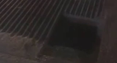 Urfa’da Mısır Silosuna Düşen İşçi Hayatını Kaybetti! İş Yeri Sahibi Gözaltına Alındı