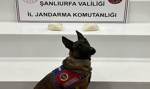 Urfa’da Uyuşturucu Operasyonu: 2 Kilo Sentetik Madde Ele Geçirildi