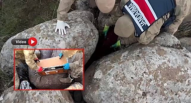 Urfa Dahil 27 İlde Dev Operasyon: 259 Şüpheli Yakalandı