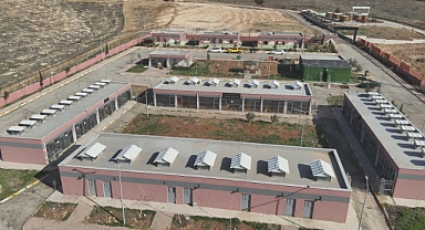 Vali Hasan Şıldak'tan Sokak Hayvanları Açıklaması