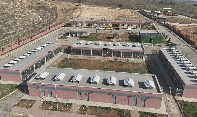 Vali Hasan Şıldak'tan Sokak Hayvanları Açıklaması