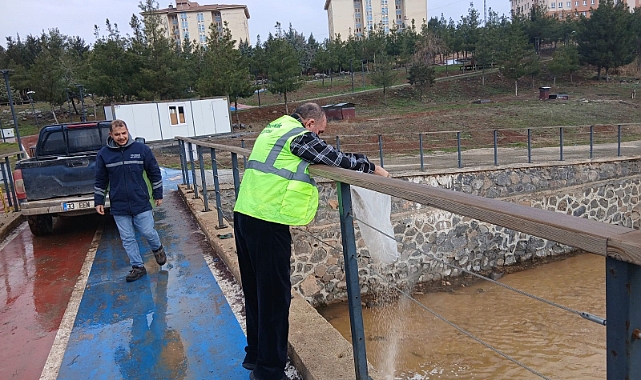 Viranşehir’de Larva ile Mücadele Başladı: Hedef Daha Sağlıklı Bir Yaz