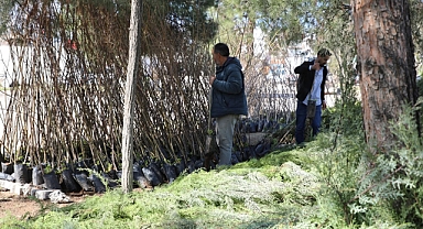 Başkan Serhat Dicle İnan: “Daha Yeşil Bir Viranşehir İçin Çalışıyoruz”