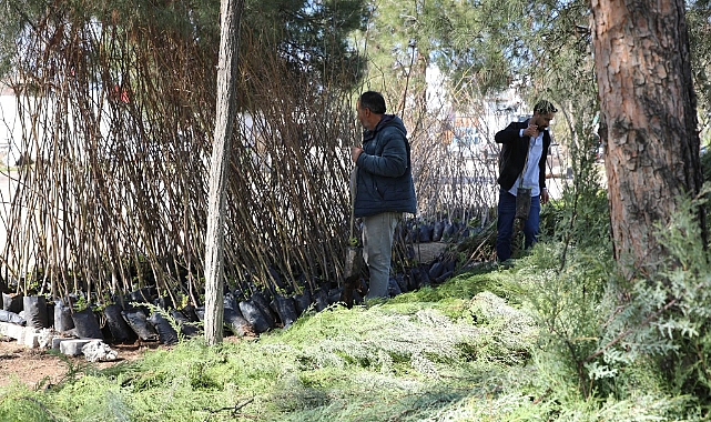 Başkan Serhat Dicle İnan: “Daha Yeşil Bir Viranşehir İçin Çalışıyoruz”