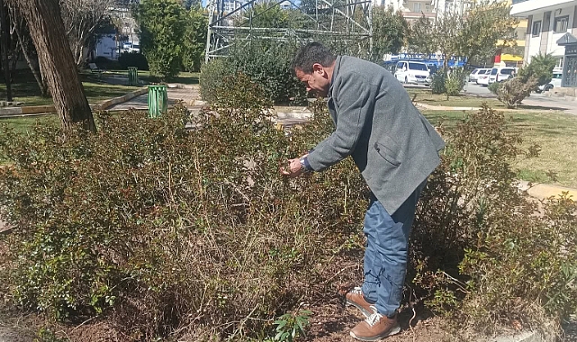 DEM Partili Meclis Üyesi Nuri Yeşilçayır Parkta Budama Çalışması Yaptı
