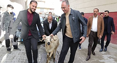 Eyyübiye'de 400 Aileye Kurbanlık Sürprizi