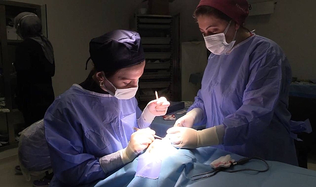 Göz Kapağı Düşüklüğü (Pitoz) Nedir? Nasıl Tedavi Edilir?