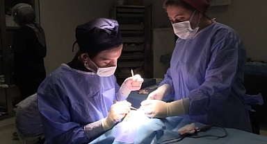 Göz Kapağı Düşüklüğü (Pitoz) Nedir? Nasıl Tedavi Edilir?