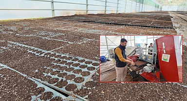Şanlıurfa Büyükşehir Belediyesi 1 Milyon Fide Üretiyor