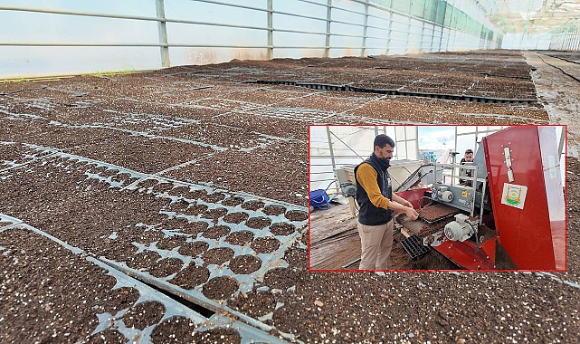 Şanlıurfa Büyükşehir Belediyesi 1 Milyon Fide Üretiyor