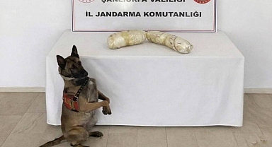 Şanlıurfa’da 2 Kilo Sentetik Uyuşturucu Ele Geçirildi