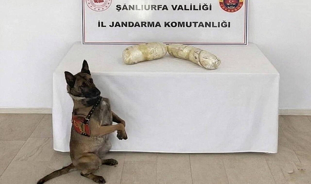Şanlıurfa’da 2 Kilo Sentetik Uyuşturucu Ele Geçirildi