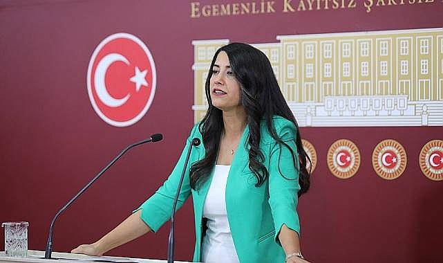 Şanlıurfa’da Kadına Yönelik Şiddetin Araştırılması İçin Meclis Araştırması Talebi