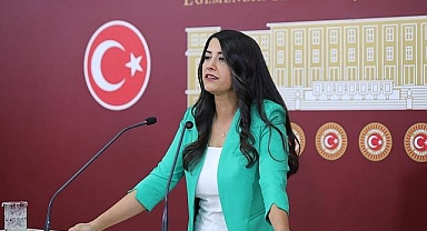 Şanlıurfa’da Kadına Yönelik Şiddetin Araştırılması İçin Meclis Araştırması Talebi