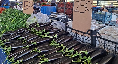 Şanlıurfa’da Mutfak Yangını: Patlıcanın Kilogramı 250 TL’ye Dayandı!