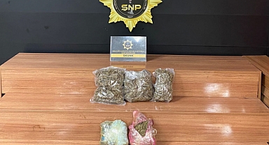 Şanlıurfa’da Narkotik Operasyonu: 2 Kilo 700 Gram Skunk Ele Geçirildi