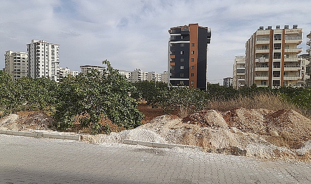 Şanlıurfa’da Tarım Arazilerine Sıkı Denetim! 815 İzinsiz Yapı Tespit Edildi