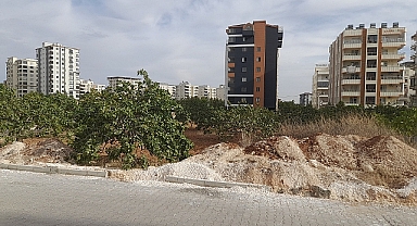 Şanlıurfa’da Tarım Arazilerine Sıkı Denetim! 815 İzinsiz Yapı Tespit Edildi