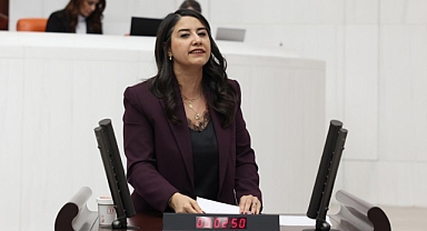 Urfa ve Siverek Cezaevlerindeki Hak İhlalleri İddiası Meclis Gündeminde