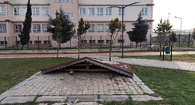 Viranşehir’de Parktaki Kamelya Tahrip Edildi, Vatandaş Tepkili