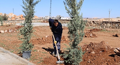 Yukarıgöklü Kent Parkı Yeşile Bürünüyor 
