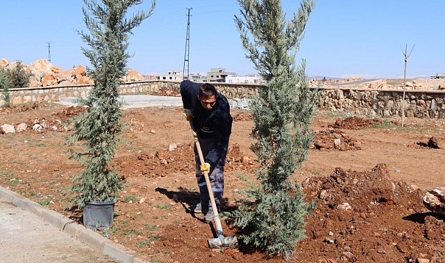 Yukarıgöklü Kent Parkı Yeşile Bürünüyor 