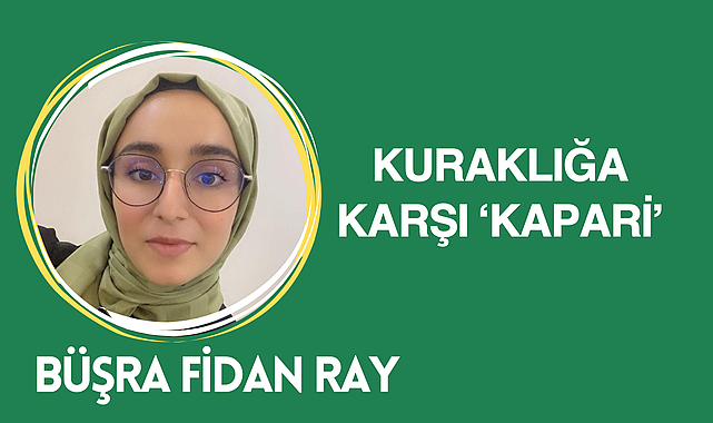 Kuraklığa Dirençli Bir Umut: Kapari Bitkisi