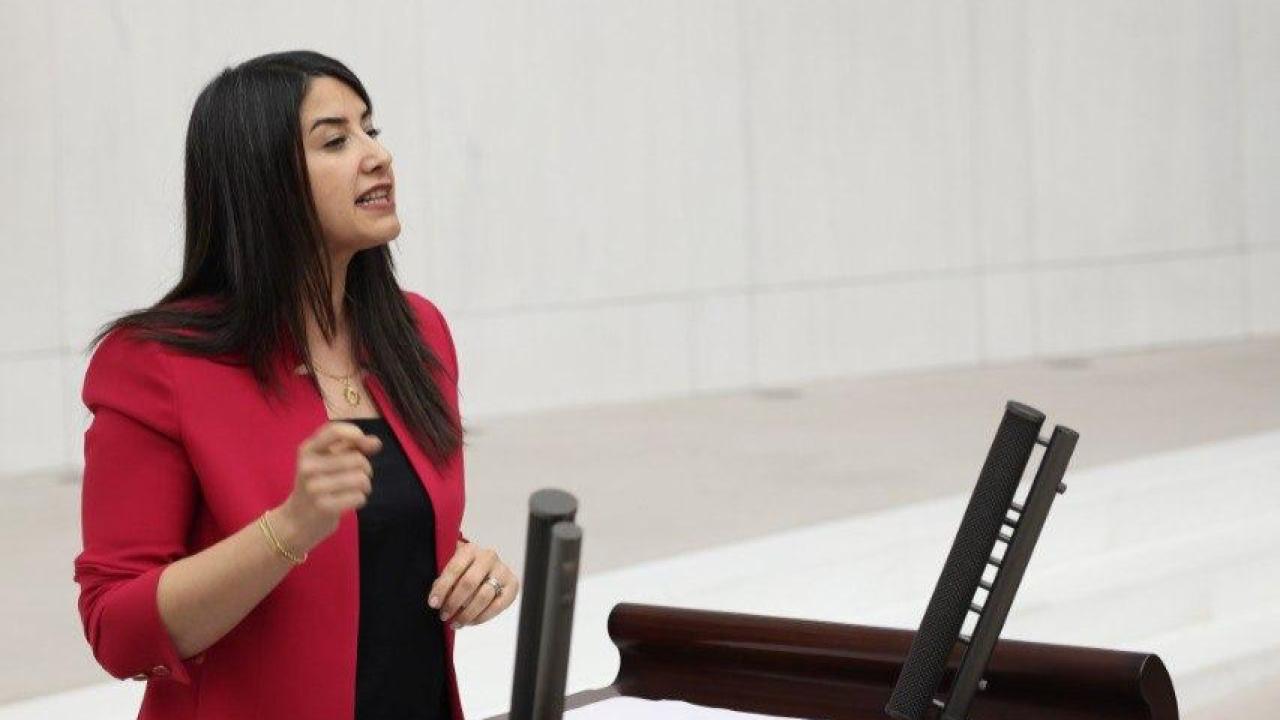 Hemofili Hastaları İçin Meclis’e Soru Önergesi Verildi