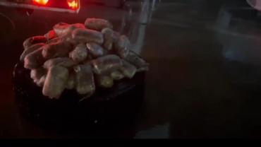 Şanlıurfa’da Narkotik Operasyonu: 17 Kilo 550 Gram Skunk Ele Geçirildi