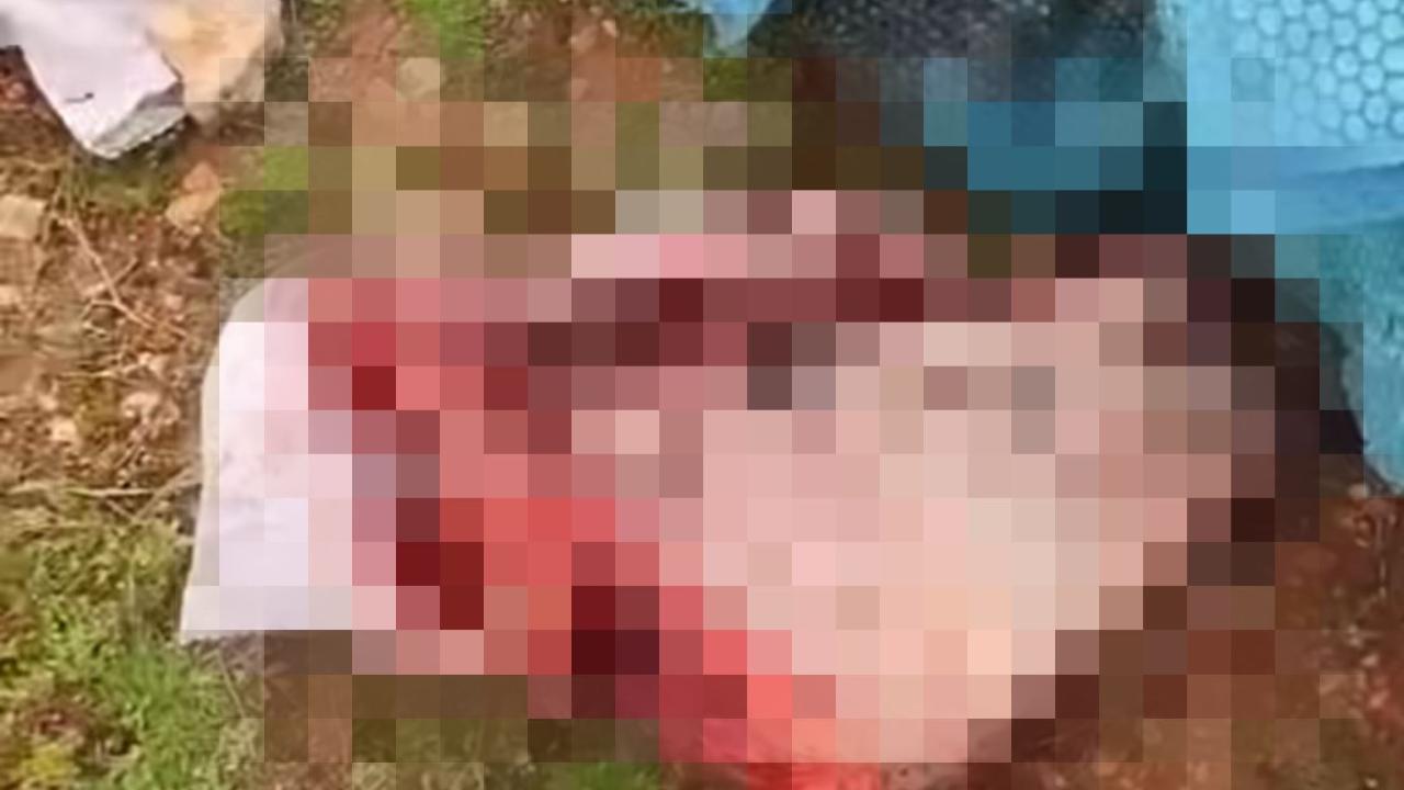 Şanlıurfa’da Tüyler Ürperten Olay: Çuvallardan Bakın Ne Çıktı!