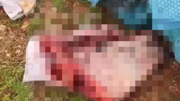 Şanlıurfa’da Tüyler Ürperten Olay: Çuvallardan Bakın Ne Çıktı!