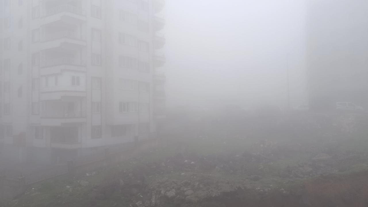 Şanlıurfa’da Yoğun Sis Etkili Oluyor: Görüş Mesafesi Düştü
