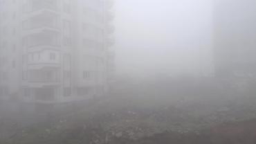 Şanlıurfa’da Yoğun Sis Etkili Oluyor: Görüş Mesafesi Düştü