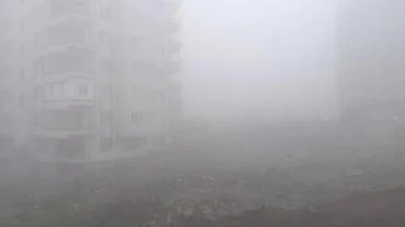 Şanlıurfa’da Yoğun Sis Etkili Oluyor: Görüş Mesafesi Düştü
