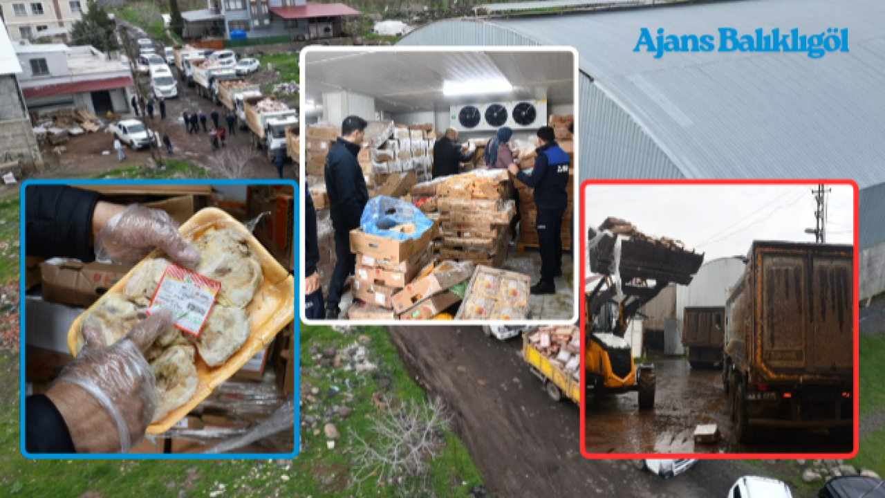 Siverek’te 50 Ton Bozuk Tavuk Eti Ele Geçirildi