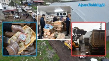 Siverek’te 50 Ton Bozuk Tavuk Eti Ele Geçirildi