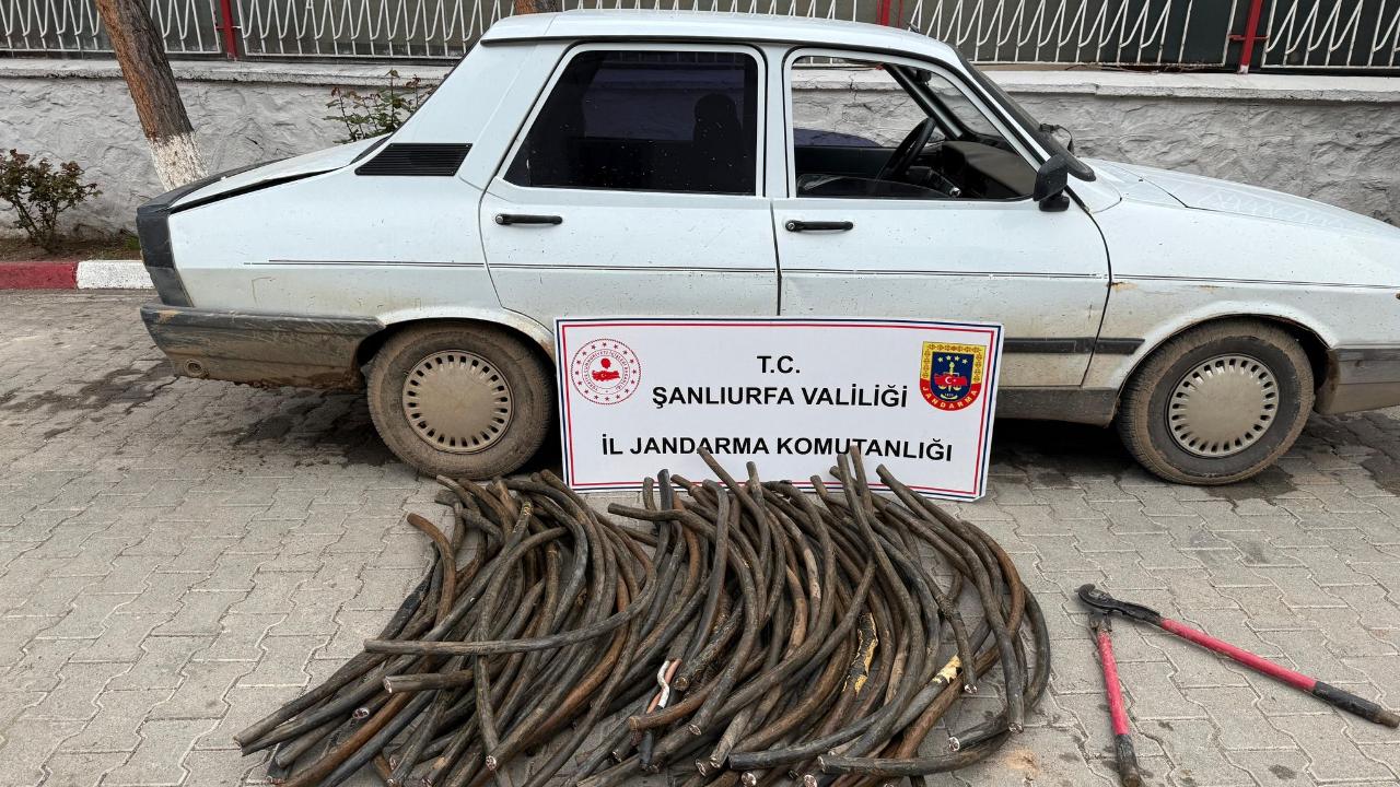 TİGEM'de Kablo Hırsızlığ: 1 Milyonluk Malzeme Yakalandı