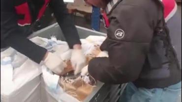 Urfa Dahil 25 İlde Uyuşturucu Ticaretine Büyük Darbe!