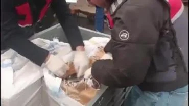 Urfa Dahil 25 İlde Uyuşturucu Ticaretine Büyük Darbe!