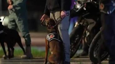 67 İlde Narkotik Operasyonu: 839 Şüpheli Yakalandı