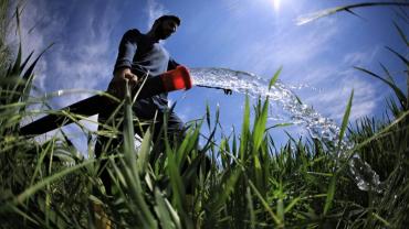 Borcunu Ödemeyen Sulama Birliklerine Elektrik Verilmeyecek!